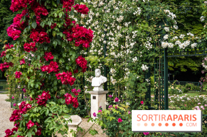 Photos : La Roseraie du val-de-Marne