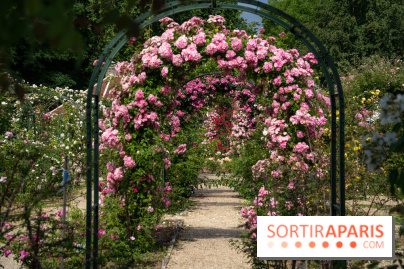 Photos : La Roseraie du val-de-Marne