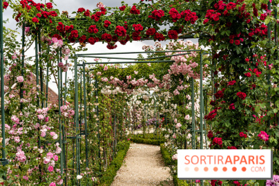 Photos : La Roseraie du val-de-Marne