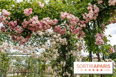 Photos : La Roseraie du val-de-Marne