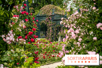 Photos : La Roseraie du val-de-Marne