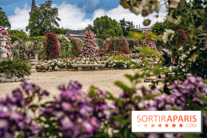 Photos : La Roseraie du val-de-Marne