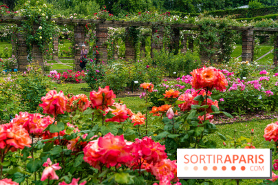 La Roseraie du Parc Lebaudy sur l'Ile de Puteaux