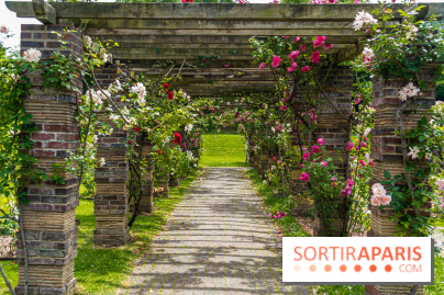La Roseraie du Parc Lebaudy sur l'Ile de Puteaux