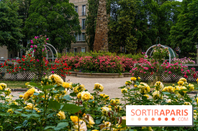 La roseraie du Square René-le-Gall