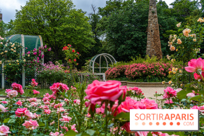 La roseraie du Square René-le-Gall