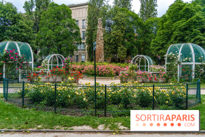 La roseraie du Square René-le-Gall