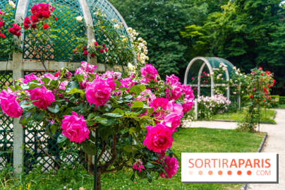 La roseraie du Square René-le-Gall