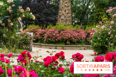 La roseraie du Square René-le-Gall