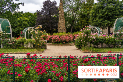 La roseraie du Square René-le-Gall
