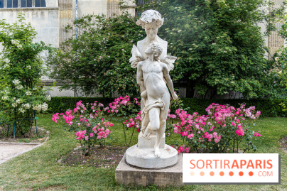 Photos La roseraie du Jardin des Plantes 