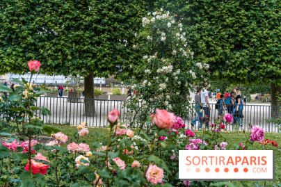 Photos La roseraie du Jardin des Plantes 