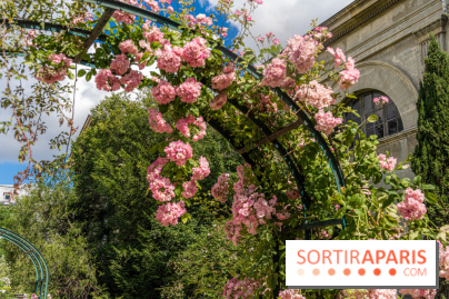 Photos La roseraie du Jardin des Plantes 