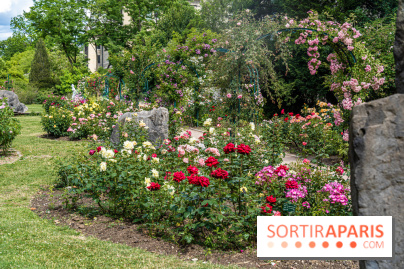 Photos La roseraie du Jardin des Plantes 