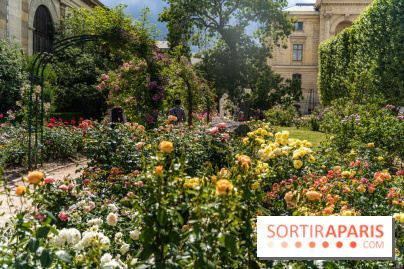 Photos La roseraie du Jardin des Plantes 