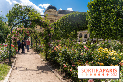 Photos La roseraie du Jardin des Plantes 