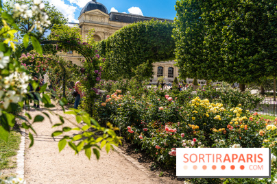 Photos La roseraie du Jardin des Plantes 