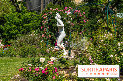 Photos La roseraie du Jardin des Plantes 