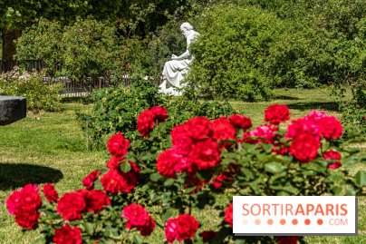 Photos La roseraie du Jardin des Plantes 