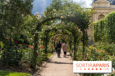 Photos La roseraie du Jardin des Plantes 
