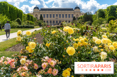 Photos La roseraie du Jardin des Plantes 