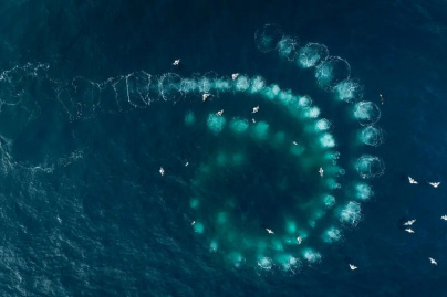 Les gardiennes de la planète
