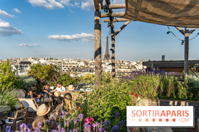 La terrasse en Rooftop du Brach, le bar perché dans un jardin potager