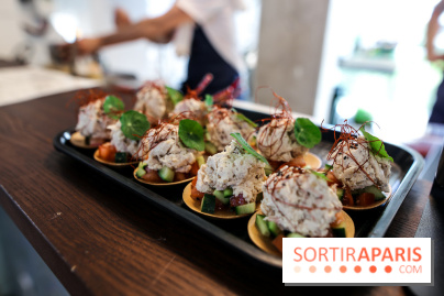 HOBA à Paris, nos photos