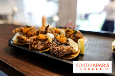 HOBA à Paris, nos photos