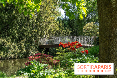 Arboretum de la Vallée-aux-Loups, une balade au milieu des arbres remarquables
