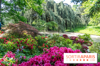 Arboretum de la Vallée-aux-Loups, une balade au milieu des arbres remarquables - A7C07775