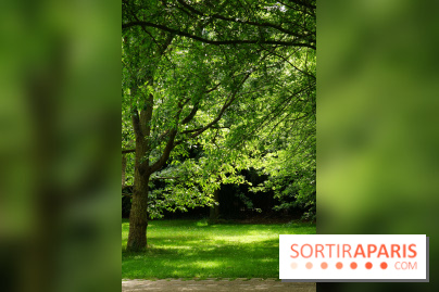 Arboretum de la Vallée-aux-Loups, une balade au milieu des arbres remarquables