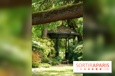 Arboretum de la Vallée-aux-Loups, une balade au milieu des arbres remarquables