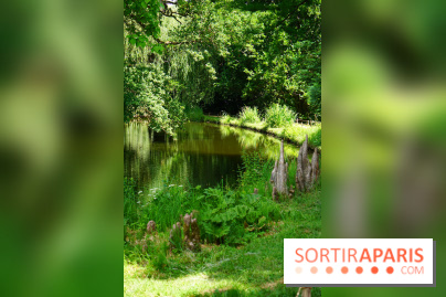 Arboretum de la Vallée-aux-Loups, une balade au milieu des arbres remarquables