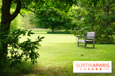 Arboretum de la Vallée-aux-Loups, une balade au milieu des arbres remarquables