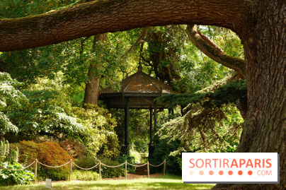 Arboretum de la Vallée-aux-Loups, une balade au milieu des arbres remarquables