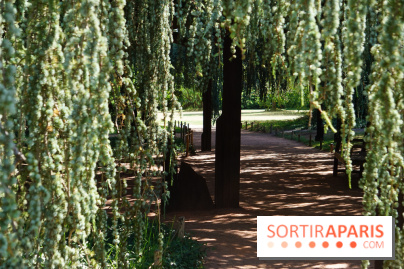 Arboretum de la Vallée-aux-Loups, une balade au milieu des arbres remarquables