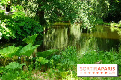 Arboretum de la Vallée-aux-Loups, une balade au milieu des arbres remarquables