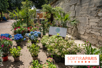 Jardins jardin aux Tuileries 2022