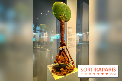 Pouvoir et prestige, art des massues du Pacifique : l'exposition du musée du Quai Branly, nos photos