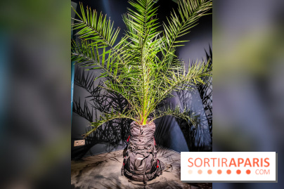 Faut-il voyager pour être heureux ?, l'exposition dépaysante de l'Espace Fondation EDF - nos photos