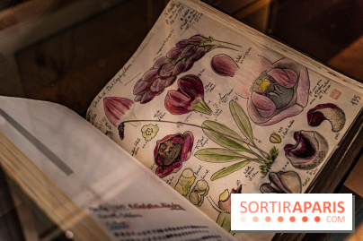 Exposition Végétal  by Chaumet aux Beaux Arts de Paris