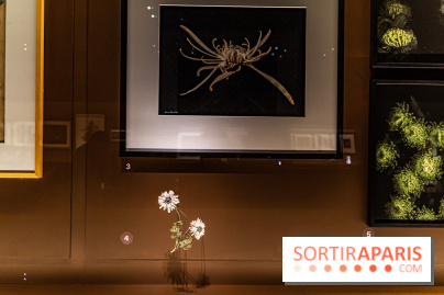 Exposition Végétal  by Chaumet aux Beaux Arts de Paris