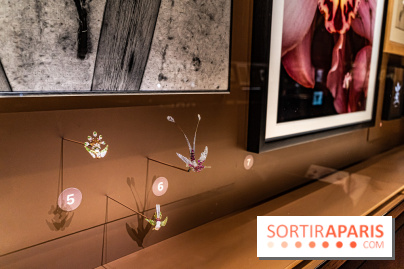 Exposition Végétal  by Chaumet aux Beaux Arts de Paris