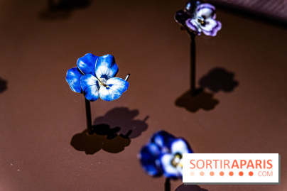 Exposition Végétal  by Chaumet aux Beaux Arts de Paris