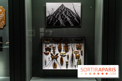 Exposition Végétal  by Chaumet aux Beaux Arts de Paris