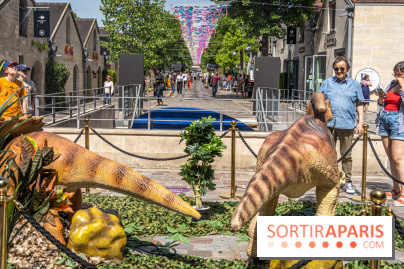 Le ciel de cerfs volants à Bercy Village 