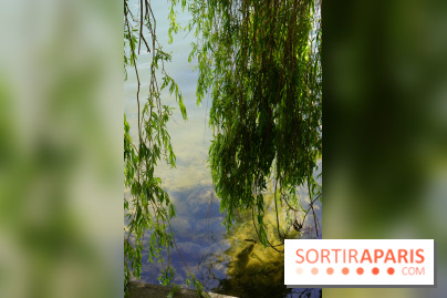 l'Île des Impressionnistes à Chatou