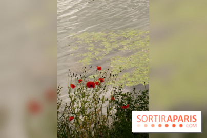 l'Île des Impressionnistes à Chatou