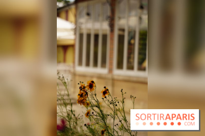 l'Île des Impressionnistes à Chatou